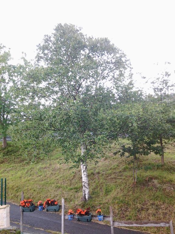 Casa Rural Ecologica Arrizurieta Bermeo Zewnętrze zdjęcie