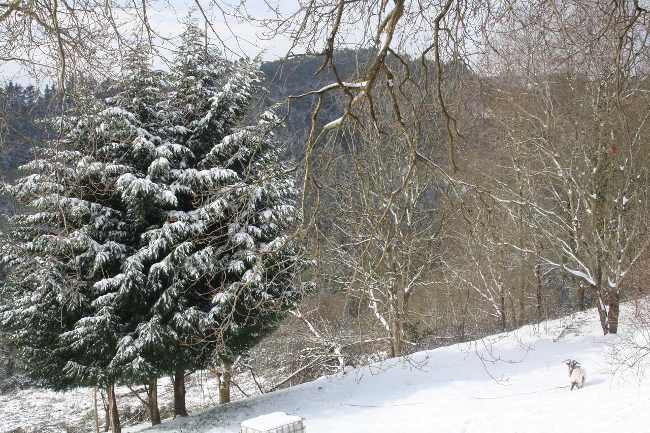 Casa Rural Ecologica Arrizurieta Bermeo Zewnętrze zdjęcie